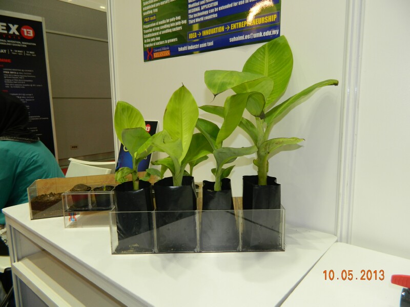 ITEX 2013 - 7 ITEX 2013 - 7